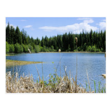 Jonc - lac marshall carte postale