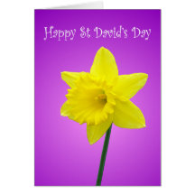 Jonquille de Gallois de jour de St Davids Cartes