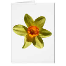 Jonquille, fleur de ressortissant de Gallois Carte