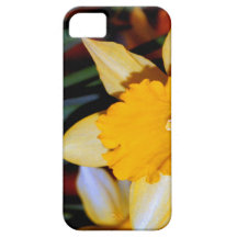 Jonquille la fleur pour le 10ème anniversaire coque iPhone 5 Case-Mate