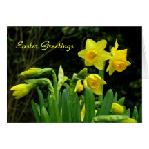 Jonquilles 1 cartes de vœux