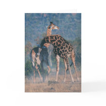 Joshua Spies Note Card