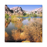 Joshua Tree, California Magnet