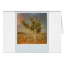 Joshua Tree Decorated Greeting Card