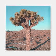 Joshua Tree Fridge Magnet