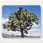 Joshua Tree - Joshua Tree National Park Mouse Pad