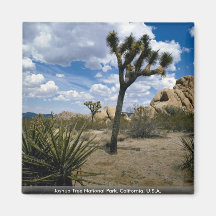Joshua Tree National Park, California, U.S.A. Refrigerator Magnet