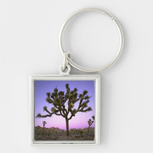 JOSHUA TREE NATIONAL PARK, CALIFORNIA. USA. KEYCHAINS