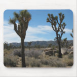 Joshua Tree National Park Mouse Pads