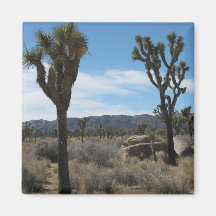Joshua Tree National Park Refrigerator Magnets