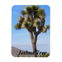 Joshua Tree Premium Magnet