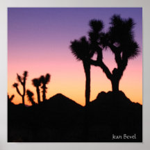Joshua Tree Sunset Posters