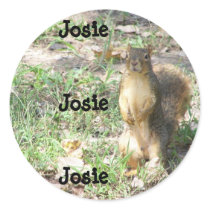 Josie name stickers