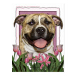 Jour de mères - tulipes roses - Pitbull Cartes Postales