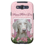 Jour de mères - tulipes roses - Weimaraner - yeux 