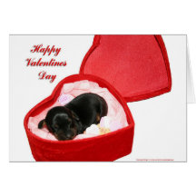 Jour de Valentines Doxie Carte De Vœux