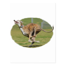 Joy of Running in Grass Oval Post Card