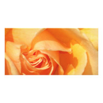 Joy_ Picture Card
