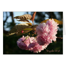 Joyeux anniversaire (carte de fleurs)