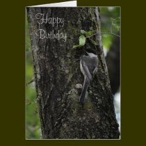 Joyeux anniversaire cartes