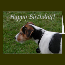 Joyeux anniversaire du chien cartes