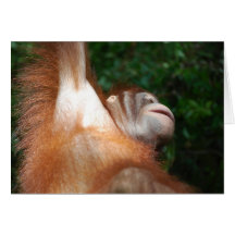 Joyeux (carte pour notes de faune)