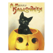 Joyeux chat démodé de Halloween Carte Postale