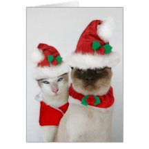 Joyeux Noël ! Cartes