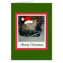 Joyeux Noël/chaton tigré orange Carte De Vœux