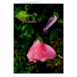 Joyeux St. Valentin-Poésie des Sens Card