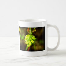 Joyfyl Springtime Mug