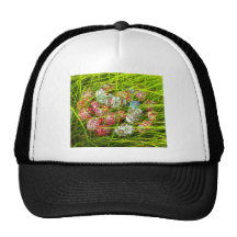 JOYOUS FIND.jpg Hat