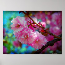 Joys of Summer - pink cherry blossoms