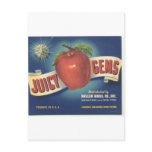Jucy Gems