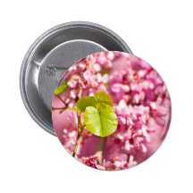 Judas Tree Flower And Leaves Button