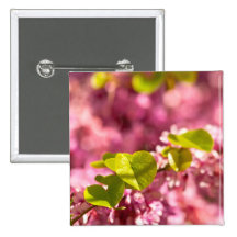 Judas Tree Flower And Leaves Pinback Button