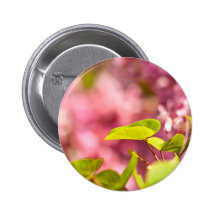 Judas Tree Flower And Leaves Pins