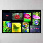 JudyMarisa Eclectic Company Floral Collection 2009