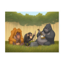 Jug Band of the Apes Postcard