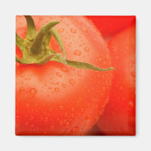 juicy tomato magnet