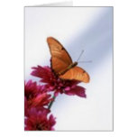 Julia Butterfly Greeting Card