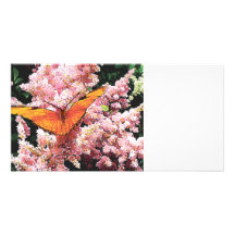 Julia Butterfly on Pink Flowers Photo Greeting Card