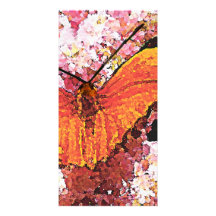 Julia Butterfly on Pink Flowers Picture Card