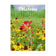 july2007 indian paintbursh, Oklahoma Post Card