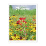 july2007 indian paintbursh, Oklahoma Post Card