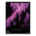 july 2010 calendar postcard