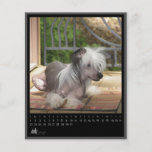 july 2012 calendar flyer