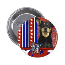 July 4th Firecracker - Australian Kelpie - Jude Button
