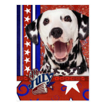 July 4th Firecracker - Dalmatian Post Cards