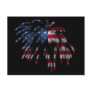 July 4th Fireworks & the American Flag in Lights Post Cards